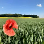 Kamenný Dům Bezdědice-máchův Kraj