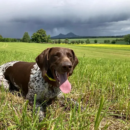 Kamenný Dům Bezdědice-máchův Kraj Prázdninový dům Bezdedice