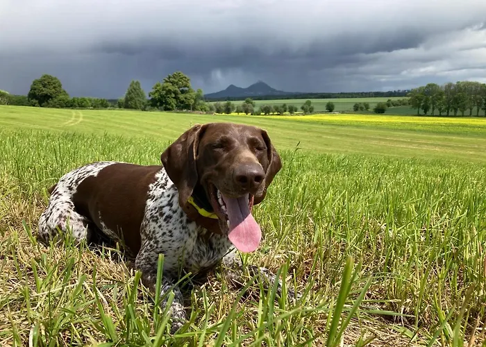 Kamenny Dum Bezdedice-machuv Kraj Semesterbostad Bezdedice
